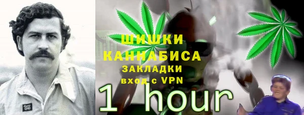 jwh Бердск