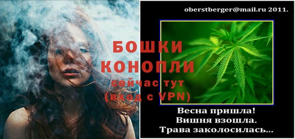 молекула духа Магадан