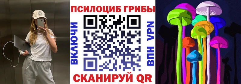 купить  цена  Черняховск  гидра зеркало  Псилоцибиновые грибы мухоморы 