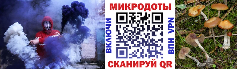 Галлюциногенные грибы мицелий Черняховск