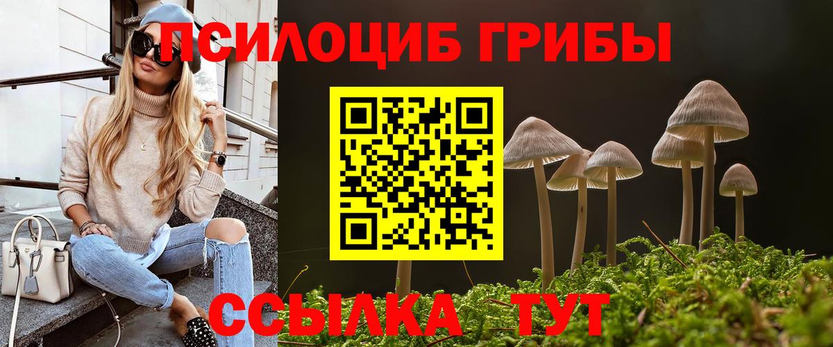 Галлюциногенные грибы Psilocybe Черняховск